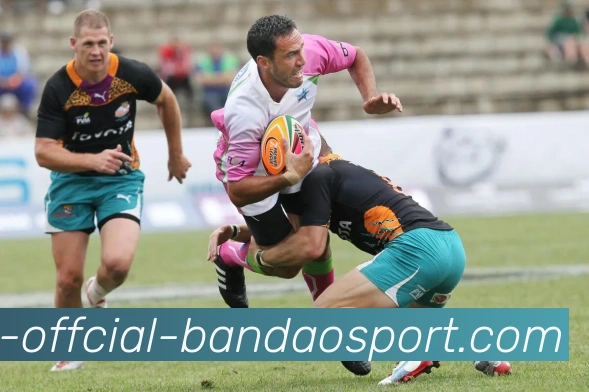 半岛体育品牌故事