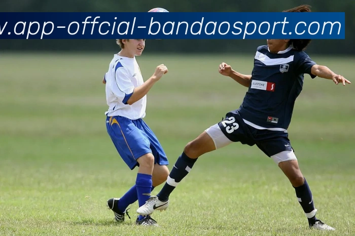 半岛体育服务体系